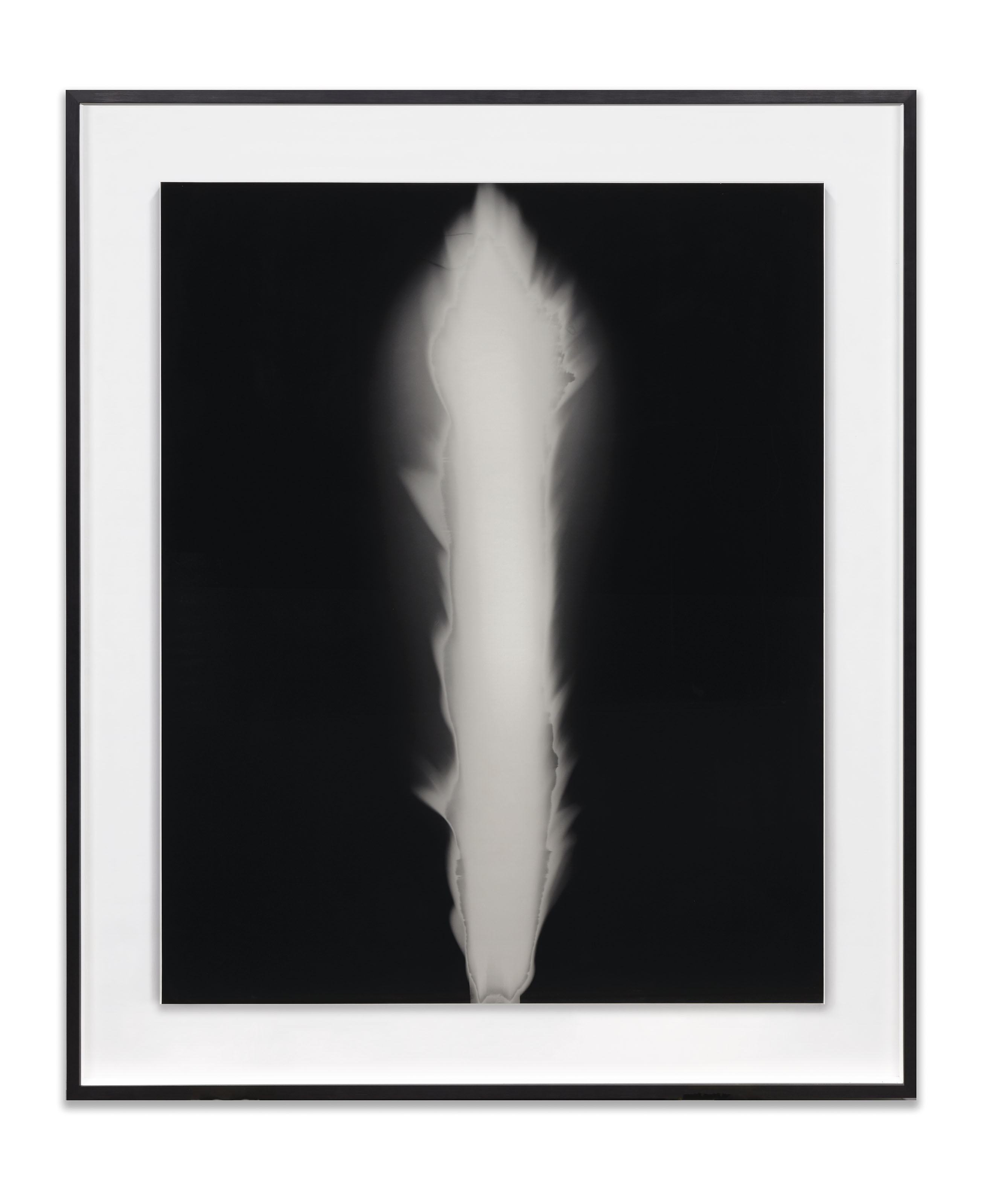 Hiroshi Sugimoto (b. 1948) , In Praise of Shadow Christie's